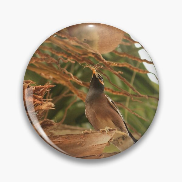 Item preview, Tropical Palm Tree with Common Myna in Peaceful Paradise designed and sold by NatureUnleashed.