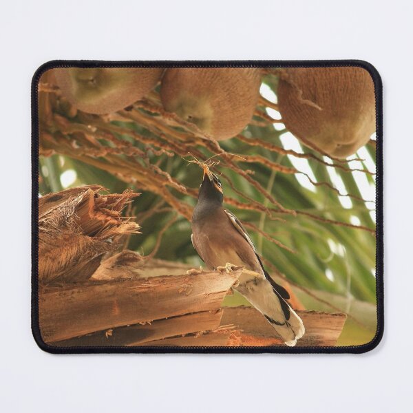 Item preview, Tropical Palm Tree with Common Myna in Peaceful Paradise designed and sold by NatureUnleashed.