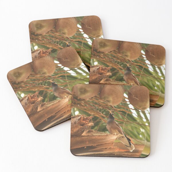 Item preview, Tropical Palm Tree with Common Myna in Peaceful Paradise designed and sold by NatureUnleashed.