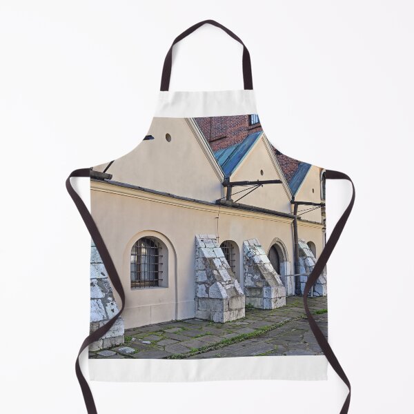Item preview, The old synagogue in Kazimierz district, Krakow, Poland designed and sold by goceris.