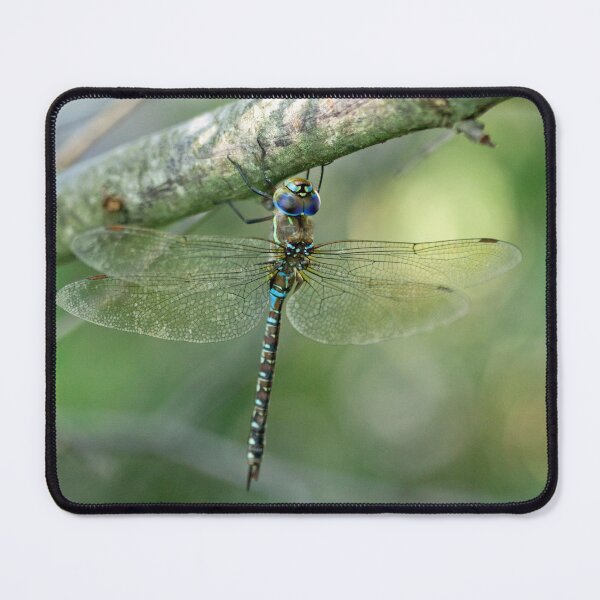 Item preview, Dragonfly designed and sold by Kenziewenze.