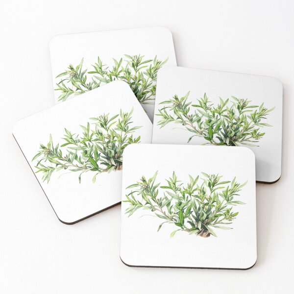 Item preview, Tarragon Herb Watercolour - Darla's Edible Forage designed and sold by DarlaEdnaFleur.