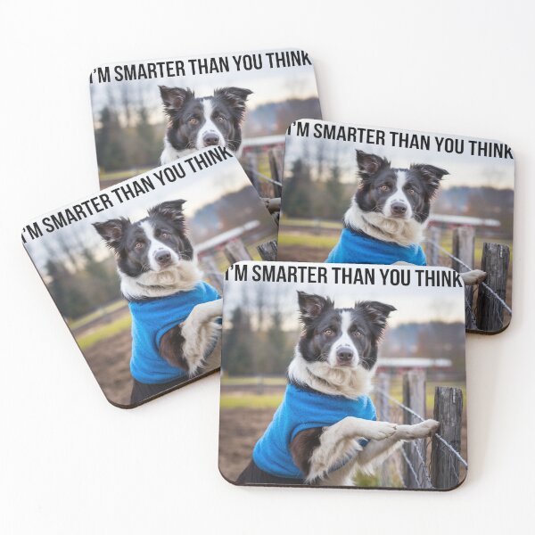 Item preview, Border Collie. I'm Smarter Than You Think designed and sold by FunkyCatDesigns.