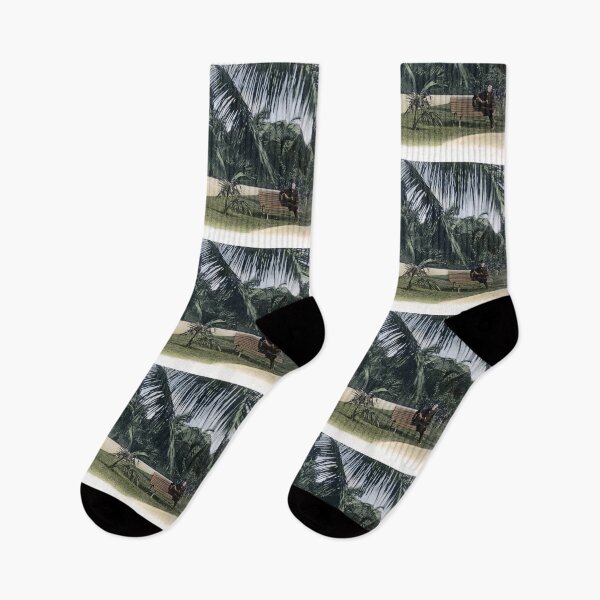 Item preview, 1910 Tropical Garden in Key West Florida designed and sold by historicimage.