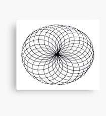 Spiral Canvas Print