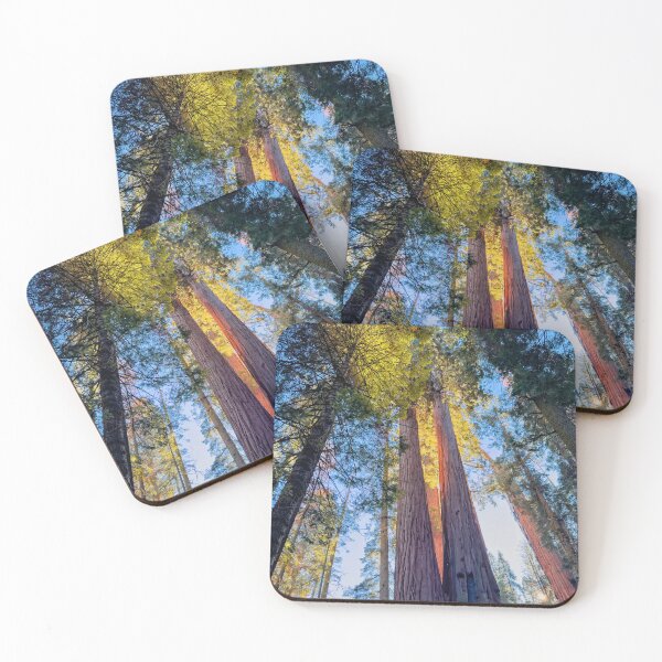 Item preview, Sunlight through Sequoias designed and sold by jvnimages.