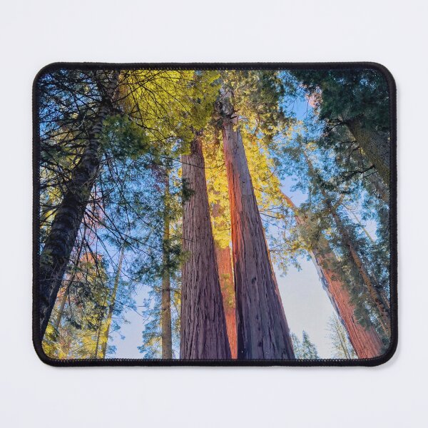 Item preview, Sunlight through Sequoias designed and sold by jvnimages.