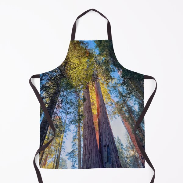 Item preview, Sunlight through Sequoias designed and sold by jvnimages.