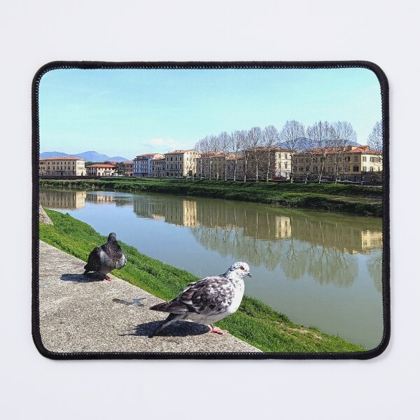 Item preview, Pigeons  designed and sold by InanaIstar.