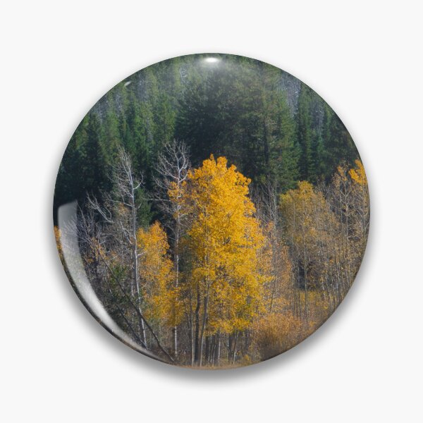 Item preview, Yellow Aspen Trees autumn landscape photograph designed and sold by art64.
