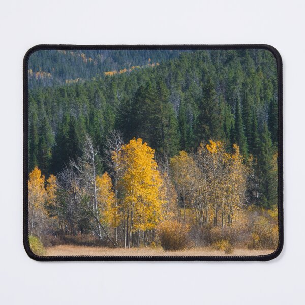 Item preview, Yellow Aspen Trees autumn landscape photograph designed and sold by art64.