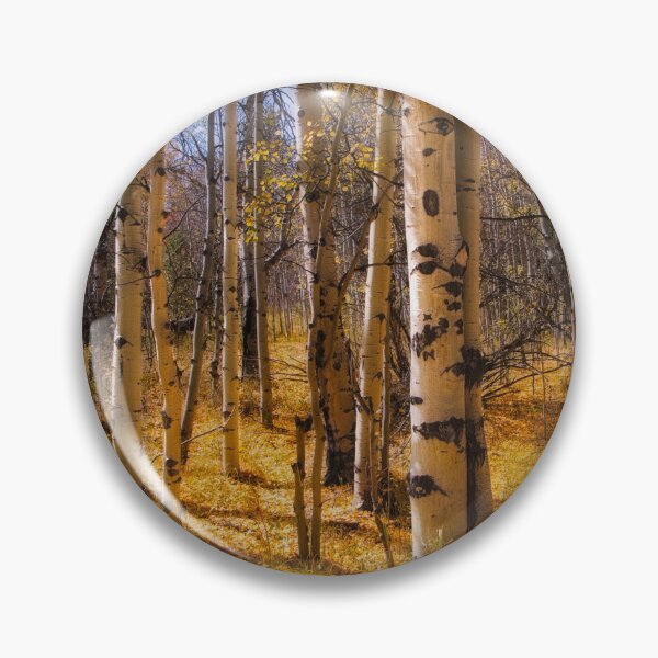 Item preview, Golden Carpet Aspen Trees autumn landscape photograph designed and sold by art64.