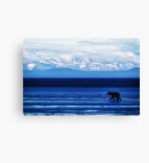 In Darkness and Light Canvas Print