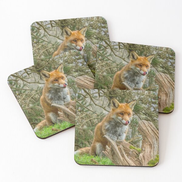 Item preview, Lip Smacking Red Fox designed and sold by HelkoryoArt.