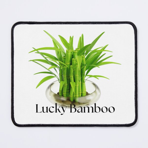 Item preview, LUCKY BAMBOO designed and sold by TommyTsunami.