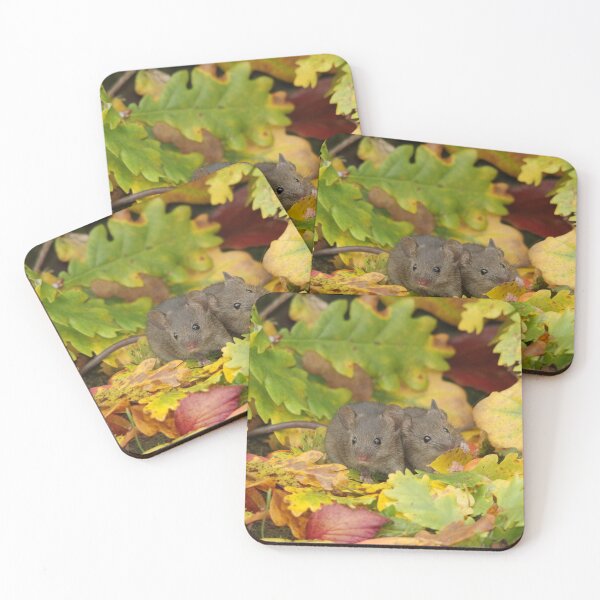 Item preview, Mrs Mouse foraging in the autumn leafs  designed and sold by Simon-dell.