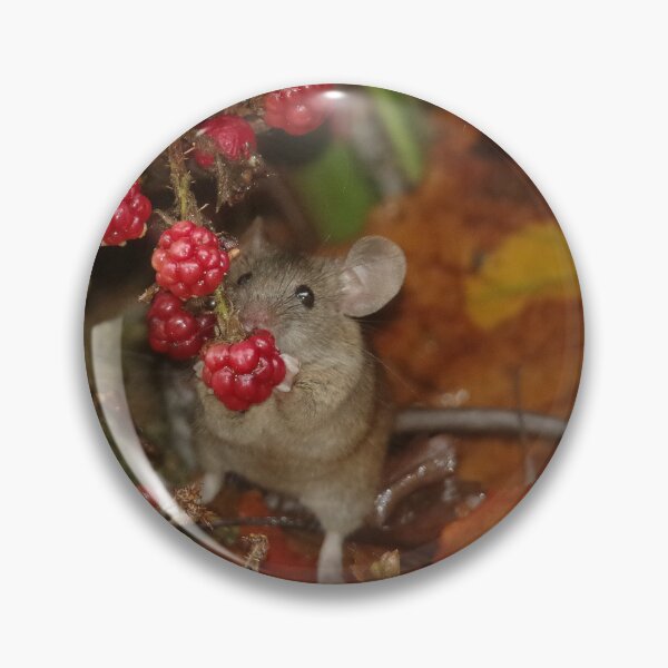 Item preview, A Bramble mouse by the Brambles in the autumn leafs  designed and sold by Simon-dell.