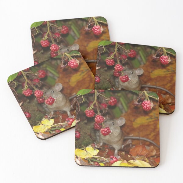 Item preview, A Bramble mouse by the Brambles in the autumn leafs  designed and sold by Simon-dell.