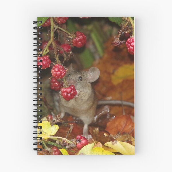 Item preview, A Bramble mouse by the Brambles in the autumn leafs  designed and sold by Simon-dell.