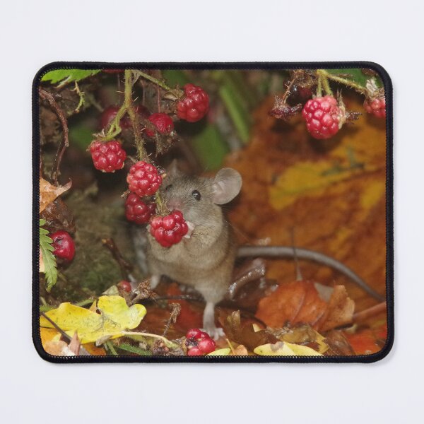 Item preview, A Bramble mouse by the Brambles in the autumn leafs designed and sold by Simon-dell.