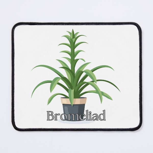 Item preview, BROMELIAD PLANT designed and sold by TommyTsunami.
