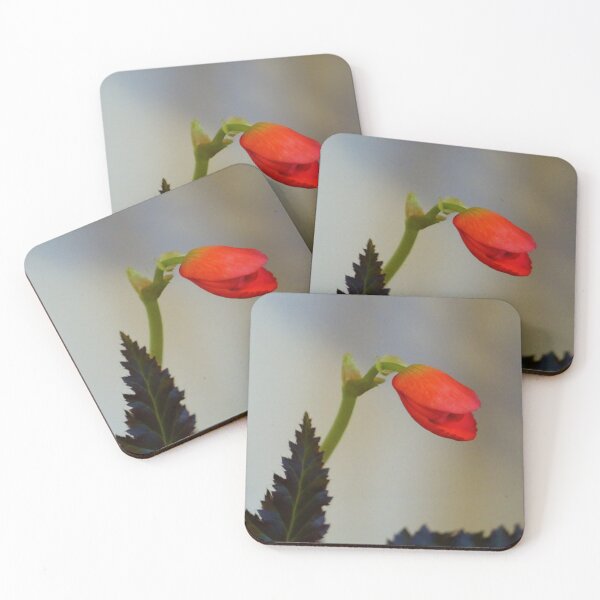 Item preview, Not a Snapdragon 2 designed and sold by Vivar Photo.