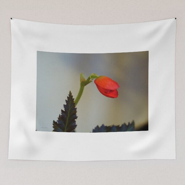Item preview, Not a Snapdragon 2 designed and sold by Vivar Photo.