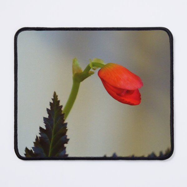 Item preview, Not a Snapdragon 2 designed and sold by Vivar Photo.