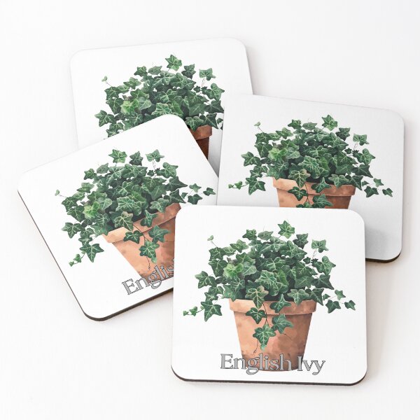 Item preview, ENGLISH IVY designed and sold by TommyTsunami.