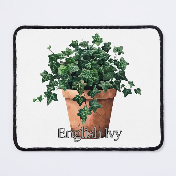 Item preview, ENGLISH IVY designed and sold by TommyTsunami.