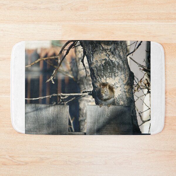 Item preview, Perky Squirrel designed and sold by Vivar Photo.