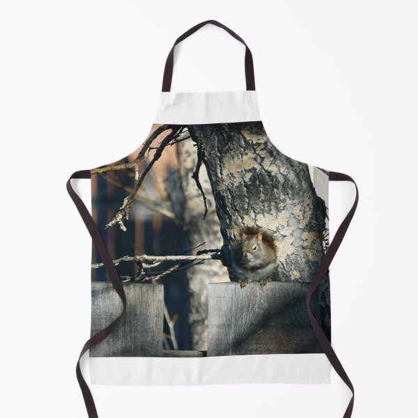 Item preview, Perky Squirrel designed and sold by Vivar Photo.