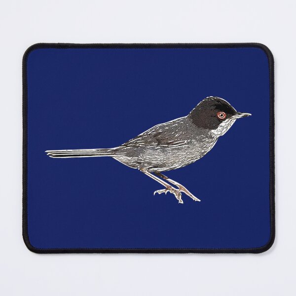 Item preview, Sardinian Warbler White Alternate Design designed and sold by designsasstultd.