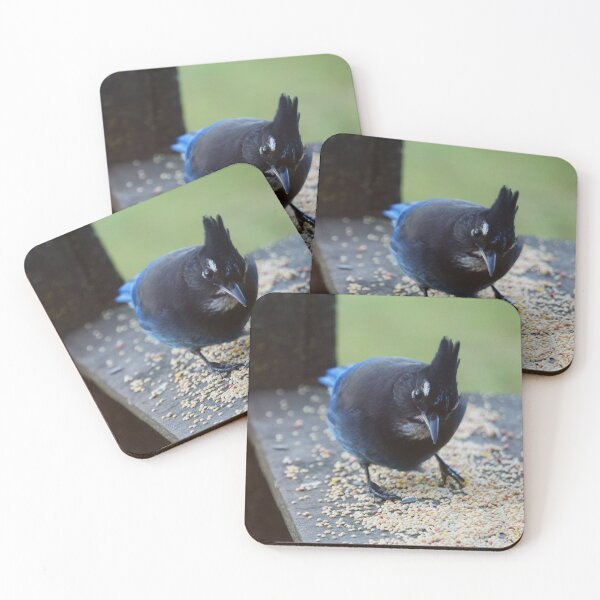 Item preview, Seedy Steller's Jay designed and sold by Vivar Photo.