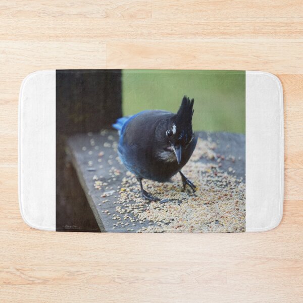 Item preview, Seedy Steller's Jay designed and sold by Vivar Photo.