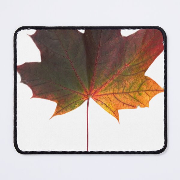 Item preview, Fall leaf designed and sold by Lauracolleen3.