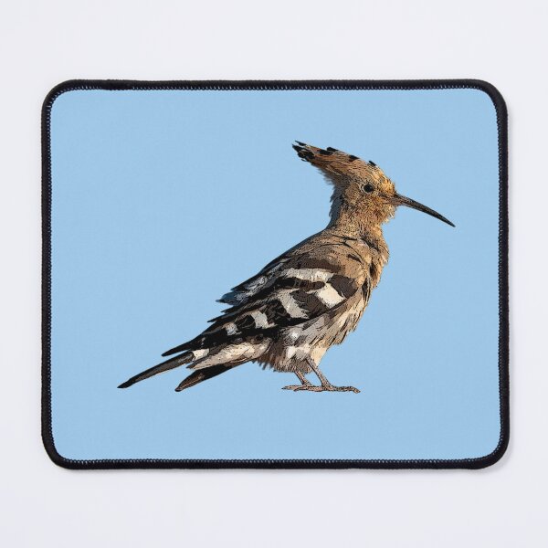 Item preview, Eurasian Hoopoe Color Design  designed and sold by designsasstultd.