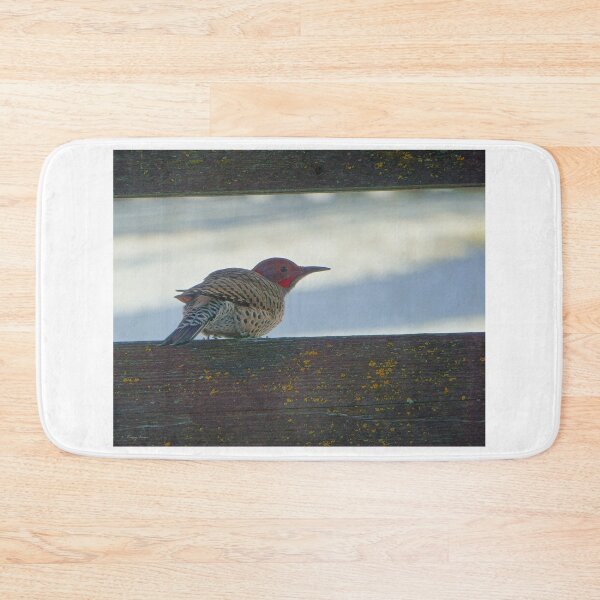 Item preview, Northern Flicker, Perched designed and sold by Vivar Photo.