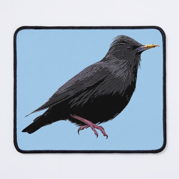 Item preview, Spotless Starling Color Design  designed and sold by designsasstultd.