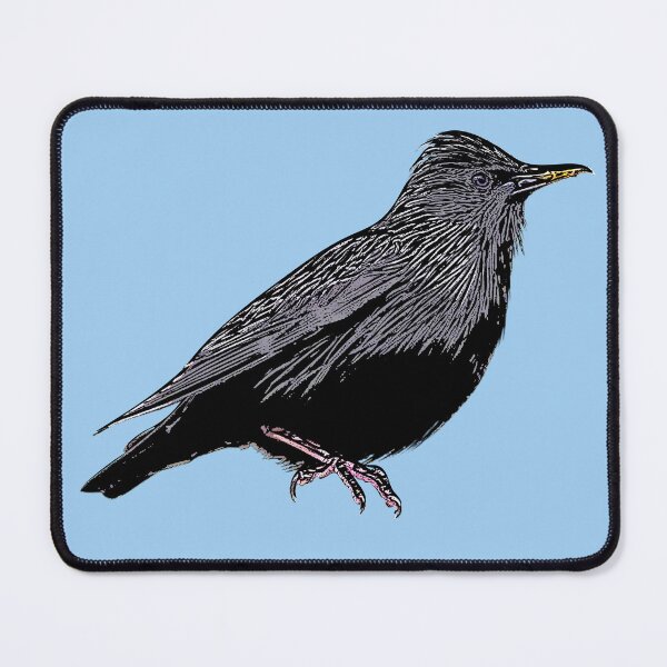Item preview, Spotless Starling Black Alternate Design designed and sold by designsasstultd.