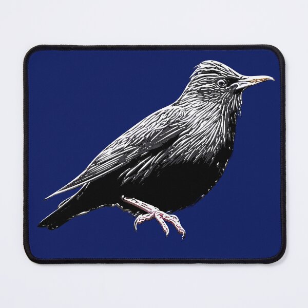 Item preview, Spotless Starling White Alternate Design  designed and sold by designsasstultd.