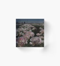 Flower Travelling Japan 1 Acrylic Block