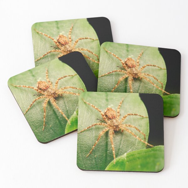 Item preview, Running Crab Spider designed and sold by robdwildlife.