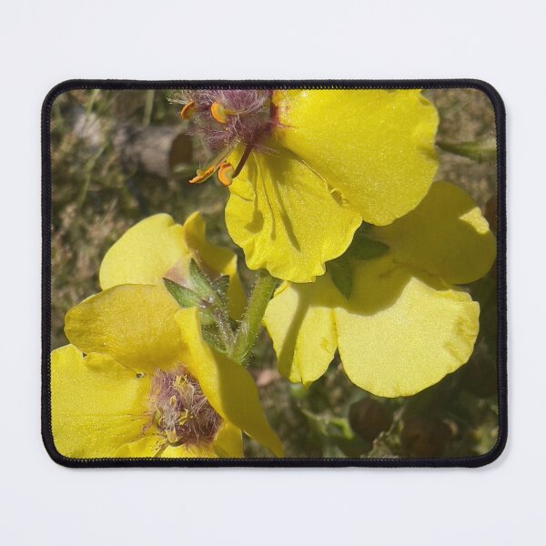Item preview, Green Mullein designed and sold by Betsy Phillips.