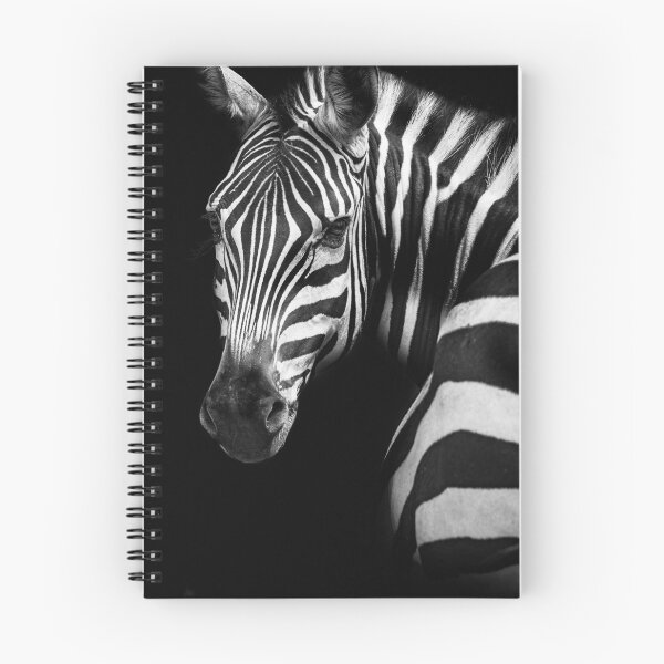 Artikelvorschau, Zebra auf schwarzem Hintergrund entworfen und verkauft von Pascal-F.