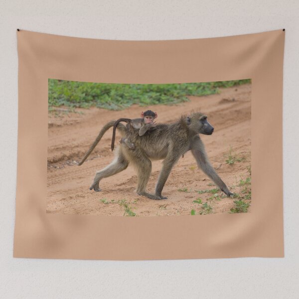 Item preview, Chacma Baboon and her Infant (Papio ursinus) designed and sold by Yair Karelic.