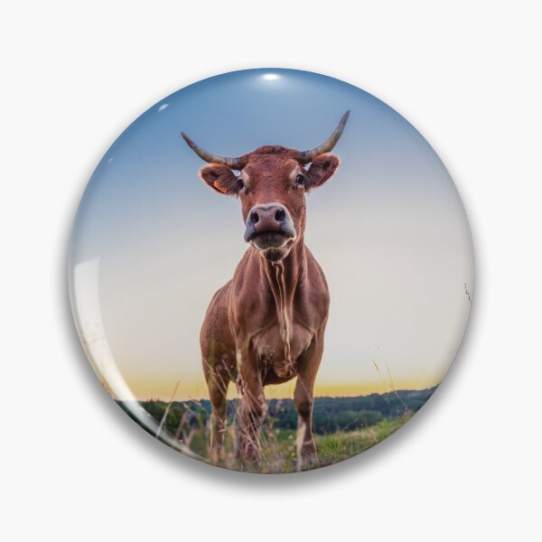 Item preview, Vaca Limousin con hermosos cuernos designed and sold by Pascal-F.