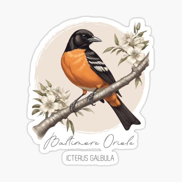 Item preview, Baltimore Oriole, Icterus galbula, Maryland State Bird designed and sold by lagunaklein.