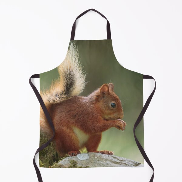 Item preview, Cute Red Squirrel 4 designed and sold by HelkoryoArt.