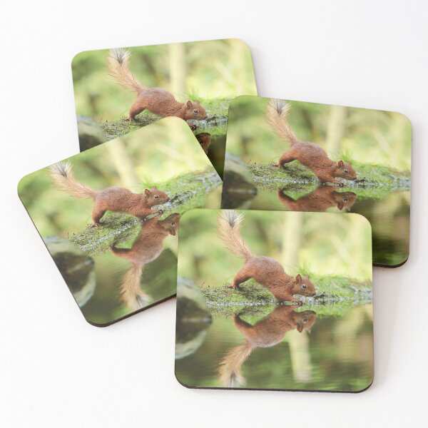 Item preview, Cute Red Squirrel 5  designed and sold by HelkoryoArt.
